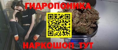 спиды Пугачёв