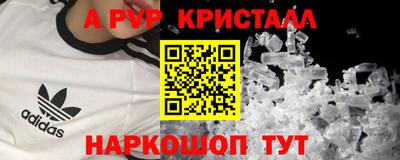 спиды Пугачёв