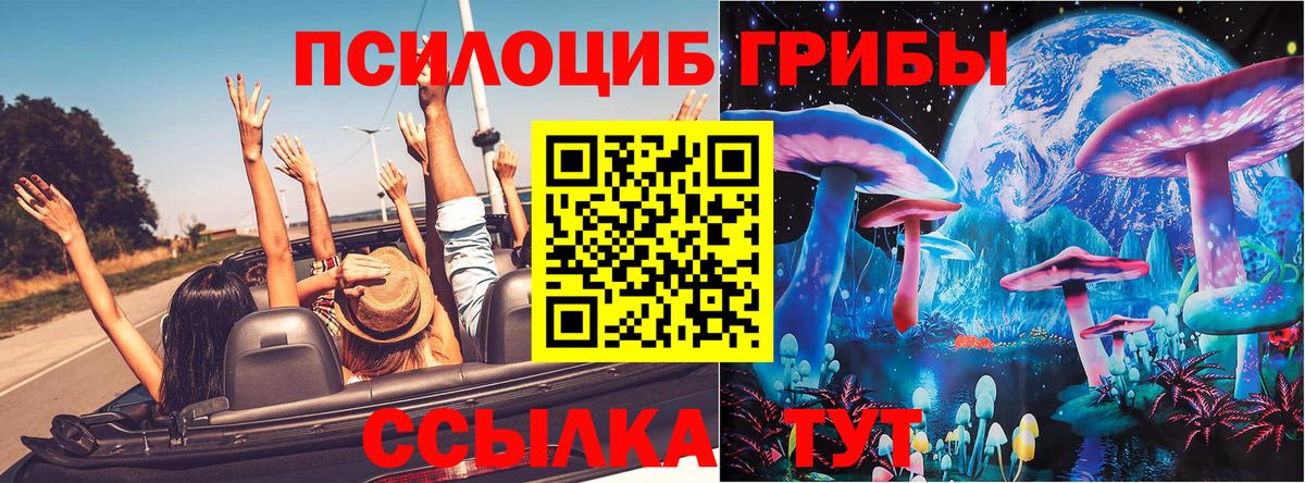 Орск  Галлюциногенные грибы мицелий  Вход с VPN 