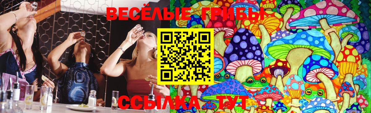 Галлюциногенные грибы прущие грибы Орск